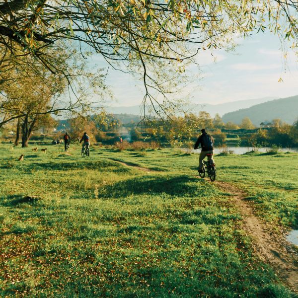Three cyclists riding on a grassy path near a river, surrounded by trees and autumn foliage.